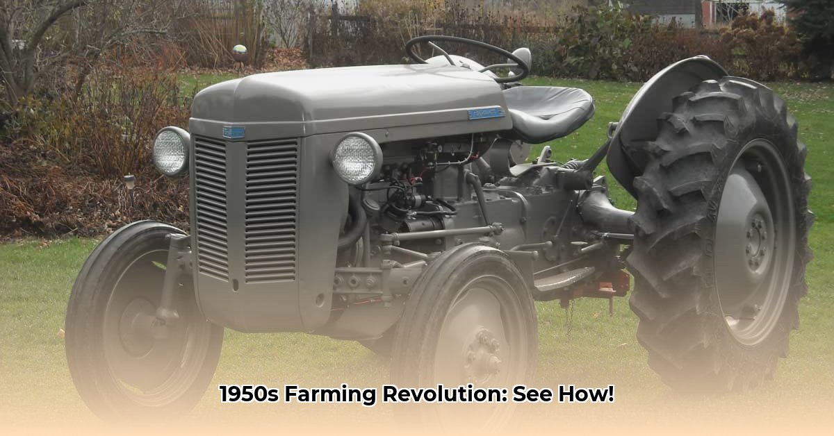 1950-ferguson-tractor
